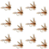 Queen Of The Waters Classic Dry Fly - 12 Flies Size 14