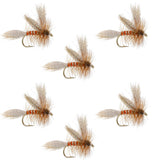 Queen Of The Waters Classic Dry Fly - 6 Flies Size 12