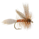 Queen Of The Waters Classic Dry Fly - 12 Flies Size 12