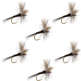Quill Gordon Classic Dry Fly - 6 Flies Size 14