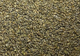 RC Big Rock Switchgrass Seed (Panicum virgatum)