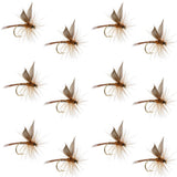 Red Quill Classic Dry Fly - 12 Flies Size 14