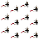 Red-Tailed Black Gnat Classic Dry Fly - 12 Flies Size 16