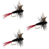 3 Pack Red-Tailed Black Gnat Classic Dry Fly - Size 16