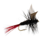 3 Pack Red-Tailed Black Gnat Classic Dry Fly - Size 16