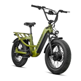 Revolt AWD Step Thru Bike