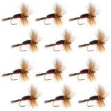 Royal Humpy Classic Hair Wing Dry Fly - 1 Dozen Flies Hook Size 8