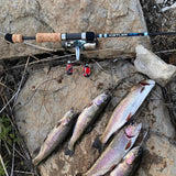 Ultra Light Fishing Rod Kistler