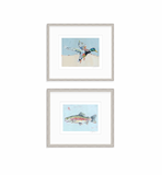 Shore Searching Mallard And Fish Fine Art Print
