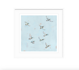 Free Flying Ducks Fine Art Print