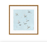 Free Flying Ducks Fine Art Print