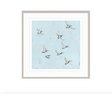 Free Flying Ducks Fine Art Print