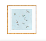 Free Flying Ducks Fine Art Print
