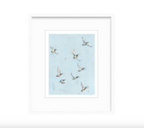 Free Flying Ducks Fine Art Print
