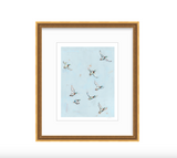 Free Flying Ducks Fine Art Print