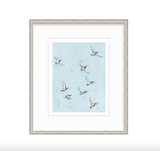 Free Flying Ducks Fine Art Print