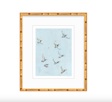 Free Flying Ducks Fine Art Print