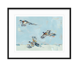 Pheasantly Surpised Pheasant Fine Art Print