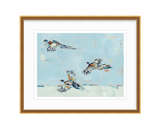 Pheasantly Surpised Pheasant Fine Art Print