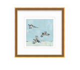Pheasantly Surpised Pheasant Fine Art Print