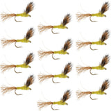 Sparkle Dun Pale Morning Dun PMD Yellow Body Mayfly 12 Flies Hook size 16