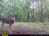 Stockpile™ Deer Block