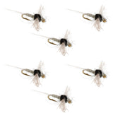 Trico Spinner Z-Lon Wing 6 Flies Hook Size 20