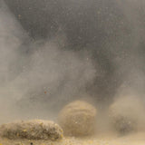 HungryFish GroundBait Mix - 15.5 oz