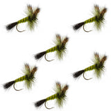 Western Green Drake Dry Fly - 6 Flies Size 10