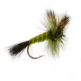 Western Green Drake Dry Fly - 6 Flies Size 8