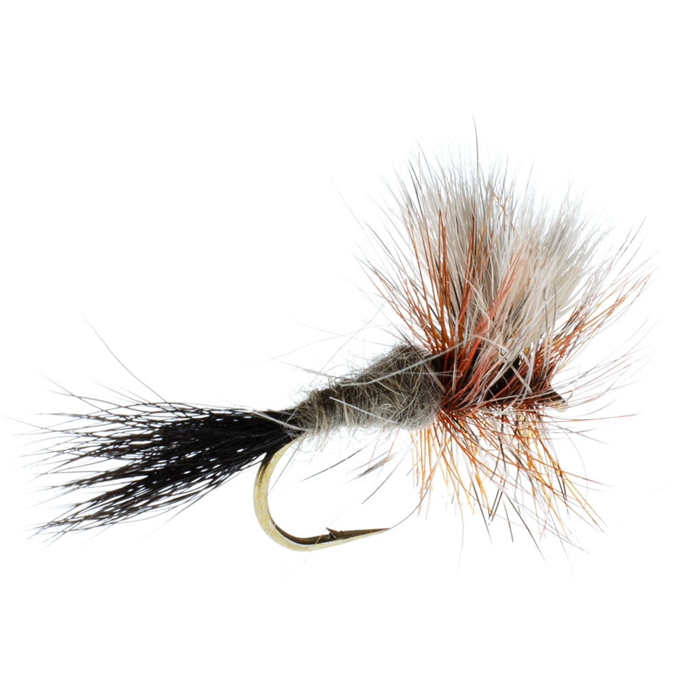 Ausable Wulff Classic Dry Fly 1 Dozen Flies Hook Size 14 – Ice Strong ...