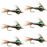 Tungsten Bead Head Flash Back Pheasant Tail Nymph 6 Flies Size 18