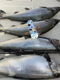 Ice Strong Outdoors - 8.5" Dual Fin Flasher Series - NEW 2026 Colors Released!