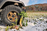 Boss Brew™ Food Plot Seed
