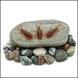 Death Roe Sinister Stone Bug 10pk