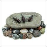 Death Roe Sinister Stone Bug 10pk