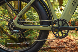 Aventon Aventure.3 E-Bike Step-Over
