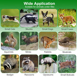 40in Live Animal Trap Cage - Humane Catch & Release