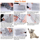 Humane Catch Release Live Animal Collapsible Galvanized Wire Trap Cage