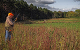 Dirty Bird™ Food Plot Seed