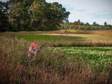 Dirty Bird™ Food Plot Seed