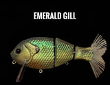 Wake Gill