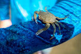MEN'S SPORT TEC | BLUE CRAB | HOODED