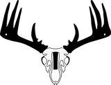 Single Whitetail