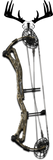 Single Whitetail