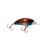 Seeker 6