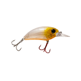 Seeker 6