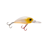 Seeker 12