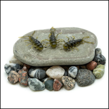 Death Roe Sinister Stone Bug 10pk