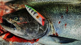 Ice Strong Outdoors - Killer Fish - UNIVERSAL PLUG HARNESS 2 PACK - BRAND NEW FEB 2026!